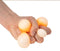 SCRUNCHEMS NEON SQUISH BALL